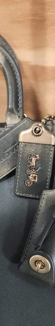 Coach Rogue Bag 31 In Green Loved Leather - Picture 4 of 16